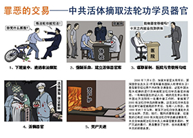 追查国际：一目击者披露法轮功学员被活摘器官经过