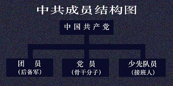 中共由党、团、队三个层面构成，看看你加入过什么。（原创图片）