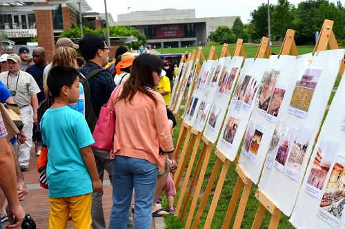 大批中、西方游客认真阅读讲述法轮功真相的展板和图片。