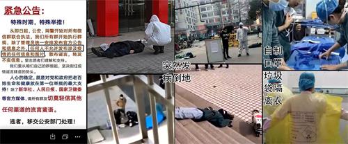 图12：应对武汉肺炎瘟疫，中共发出了严厉的封口令，规定民间发的信息都是假的，禁发禁传，违者交公安。