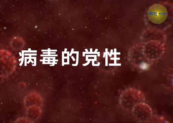 视频：病毒的党性