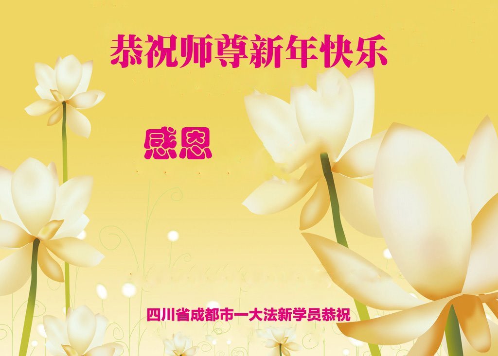 中国各省市新学员恭祝师父新年好